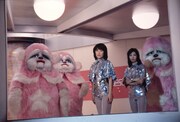 「ピンク・レディーの活動大写真」場面写真 (c)1978 東宝