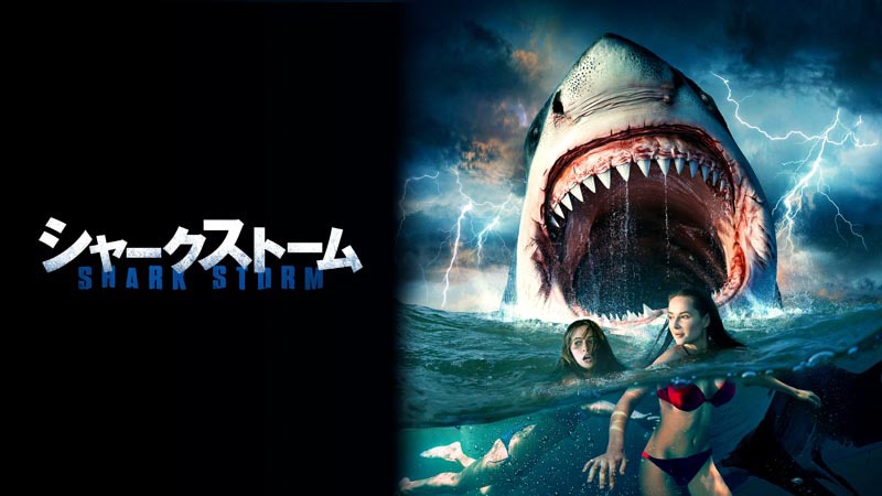 「シャークストーム」ビジュアル (c)2021 Acme Holding Company, LLC. All Rights Reserved.