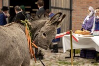 「EO イーオー」メイキング写真