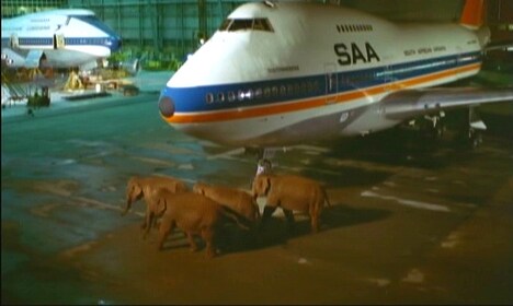 「猛獣大脱走」場面写真