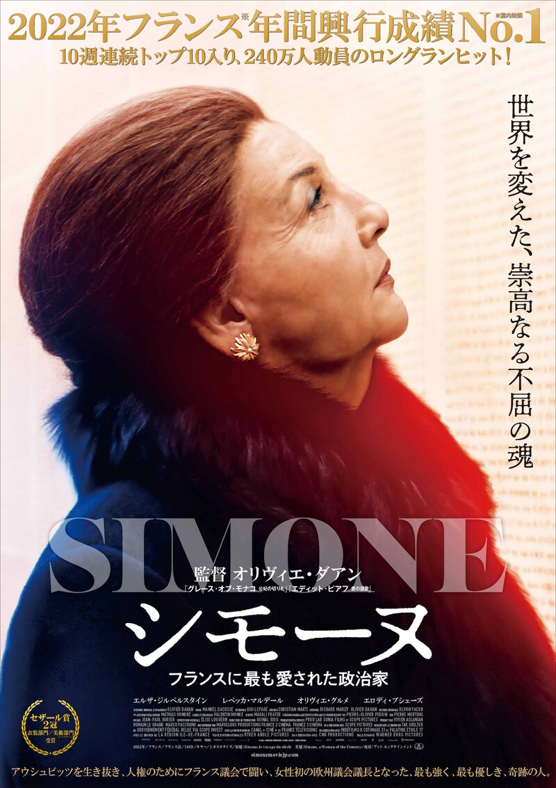 「シモーヌ フランスに最も愛された政治家」ポスタービジュアル