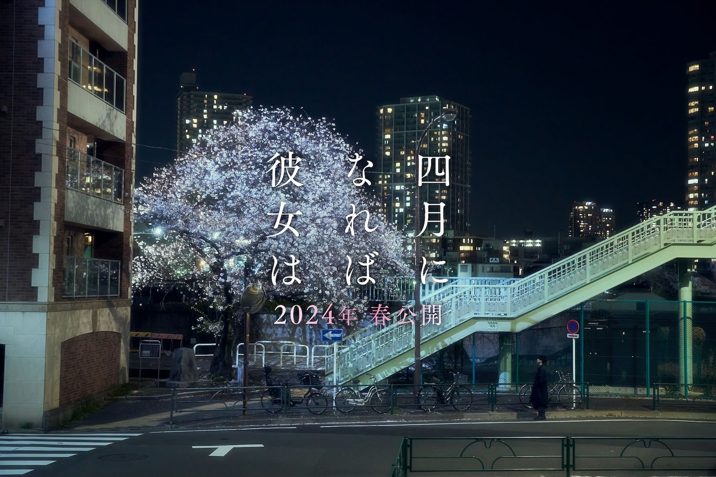 「四月になれば彼女は」シーンカット（東京ビジュアル）