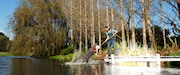 「Pearl パール」場面写真