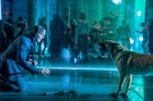 「ジョン・ウィック」の歩みは犬とともに…“相棒”犬とのシーンまとめた特別映像