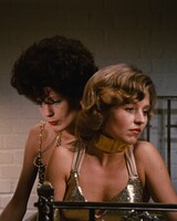 「ペトラ・フォン・カントの苦い涙」場面写真