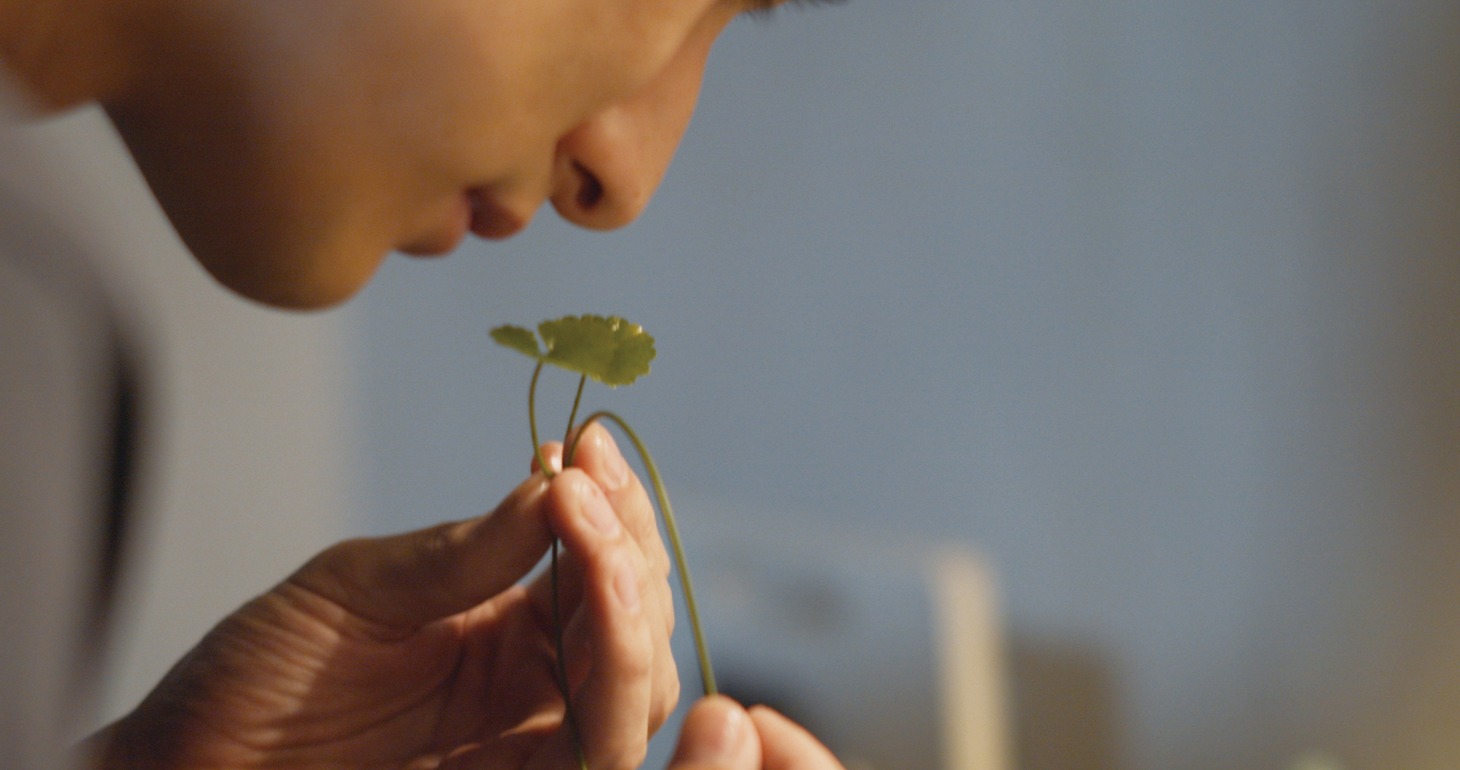 「路辺花草」新場面写真