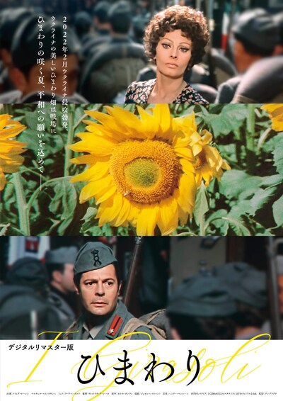 「ひまわり（デジタルリマスター版）」新ポスタービジュアル