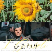 「ひまわり」再上映を記念した新ポスター解禁、グッズの売り上げはウクライナ支援に