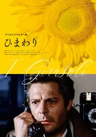 「ひまわり（デジタルリマスター版）」新ポスタービジュアル