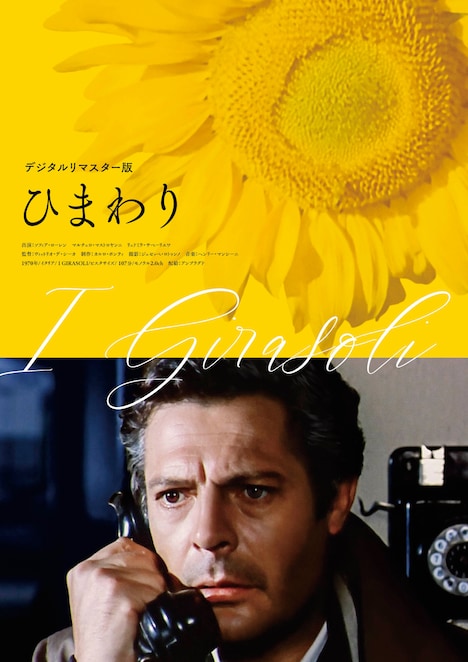 「ひまわり（デジタルリマスター版）」新ポスタービジュアル