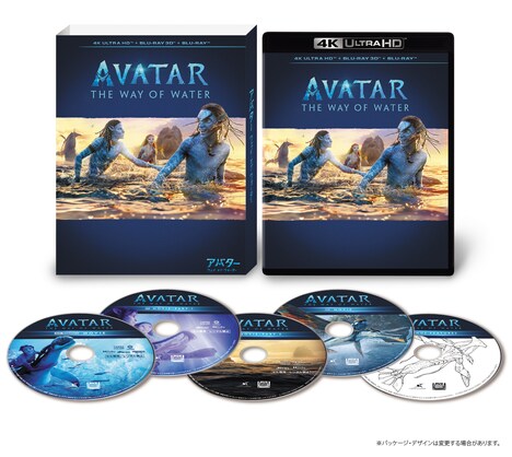 「アバター：ウェイ・オブ・ウォーター 4K UHD」展開図