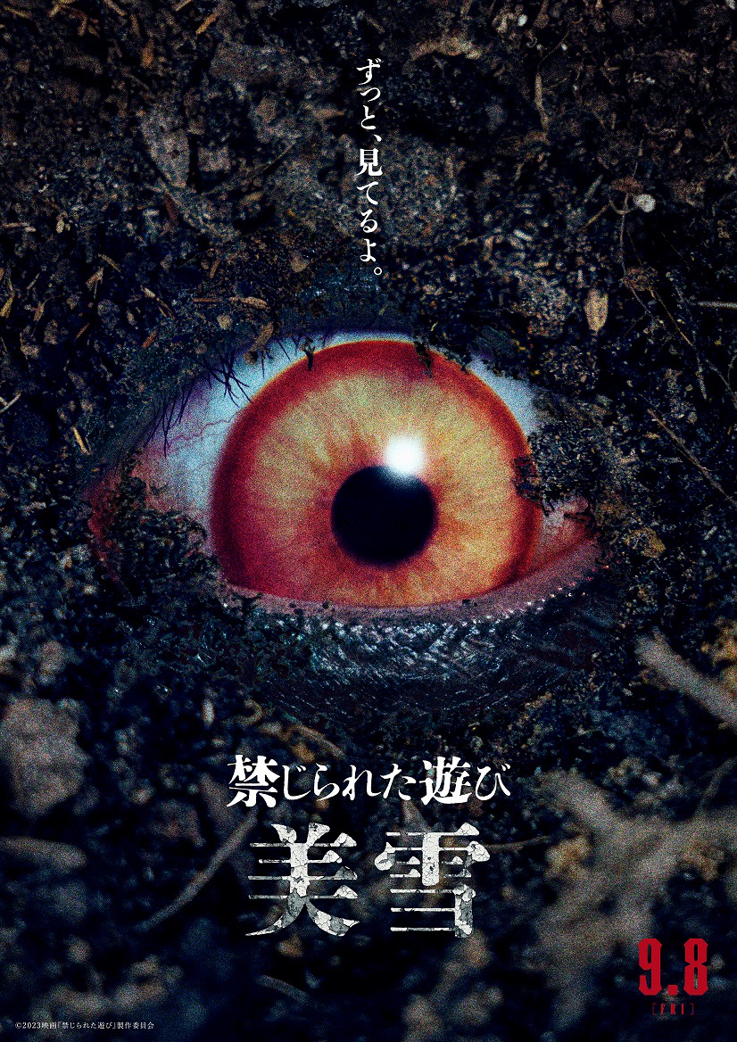 「禁じられた遊び」ビジュアル