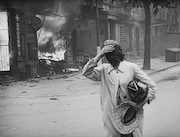 「破壊の自然史」より。