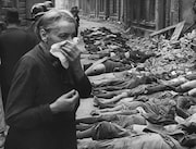 「破壊の自然史」より。