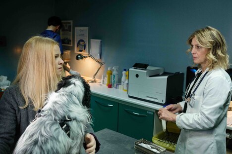 「声なきサイン」場面写真