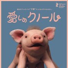少女が子ブタのしつけに奮闘、SILENT SIRENら参加「愛しのクノール」吹替版予告