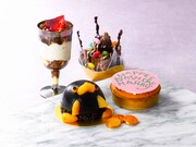 左上から時計回りに賢者の石のティラミス（税込700円）、ブラウニーボックス（税込800円）、ハグリッドのバースデーチーズケーキ（税込900円）、ニフラーのチョコレートムース（税込900円）。