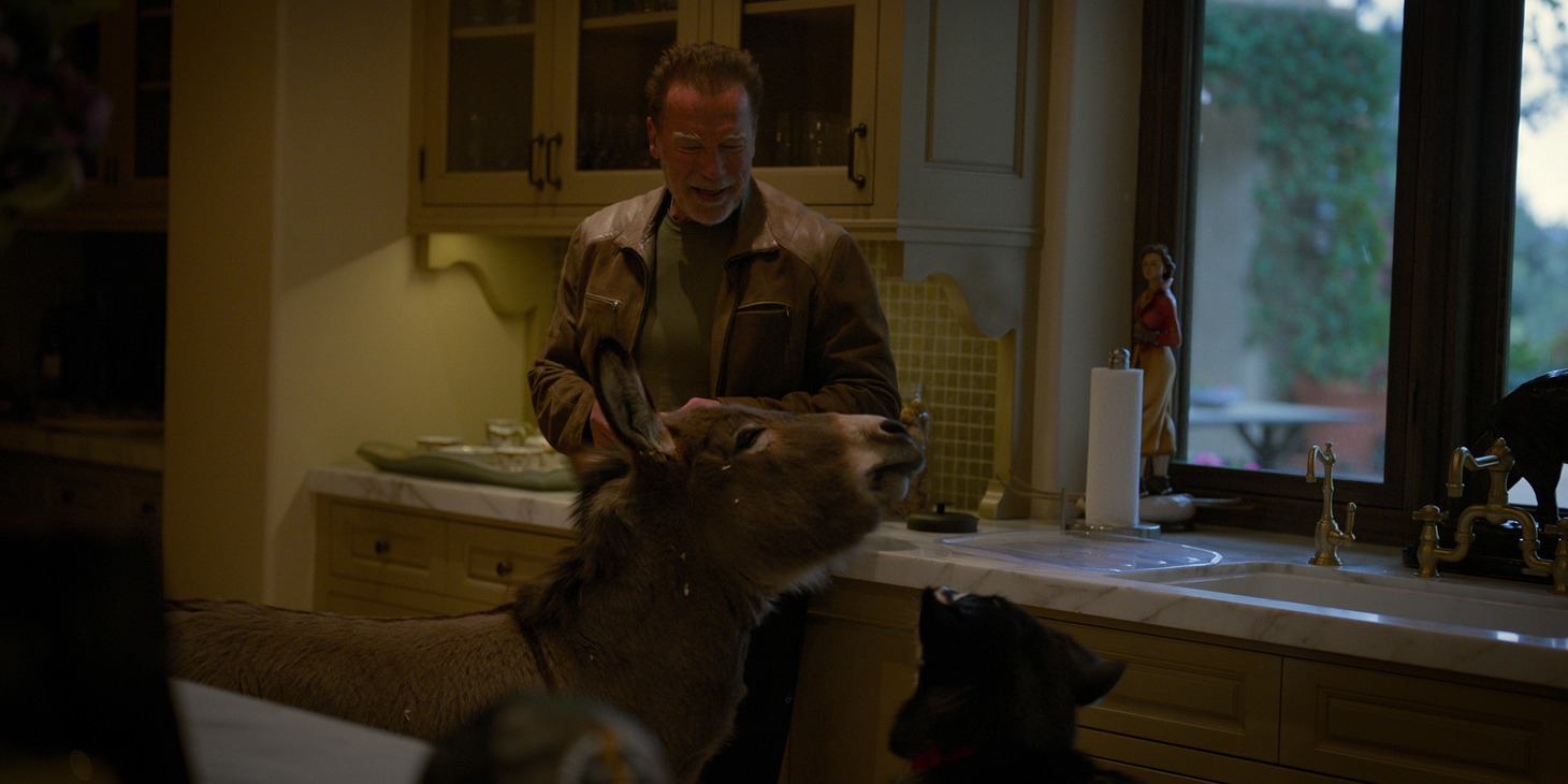 「アーノルド」場面写真