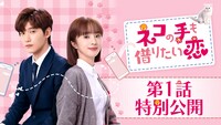 中国ドラマ「ネコの手も借りたい恋」第1話特別公開を告知するビジュアル。