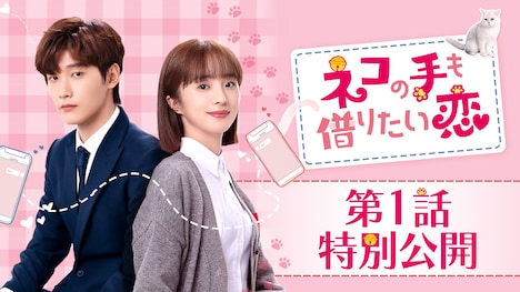 中国ドラマ「ネコの手も借りたい恋」第1話特別公開を告知するビジュアル。