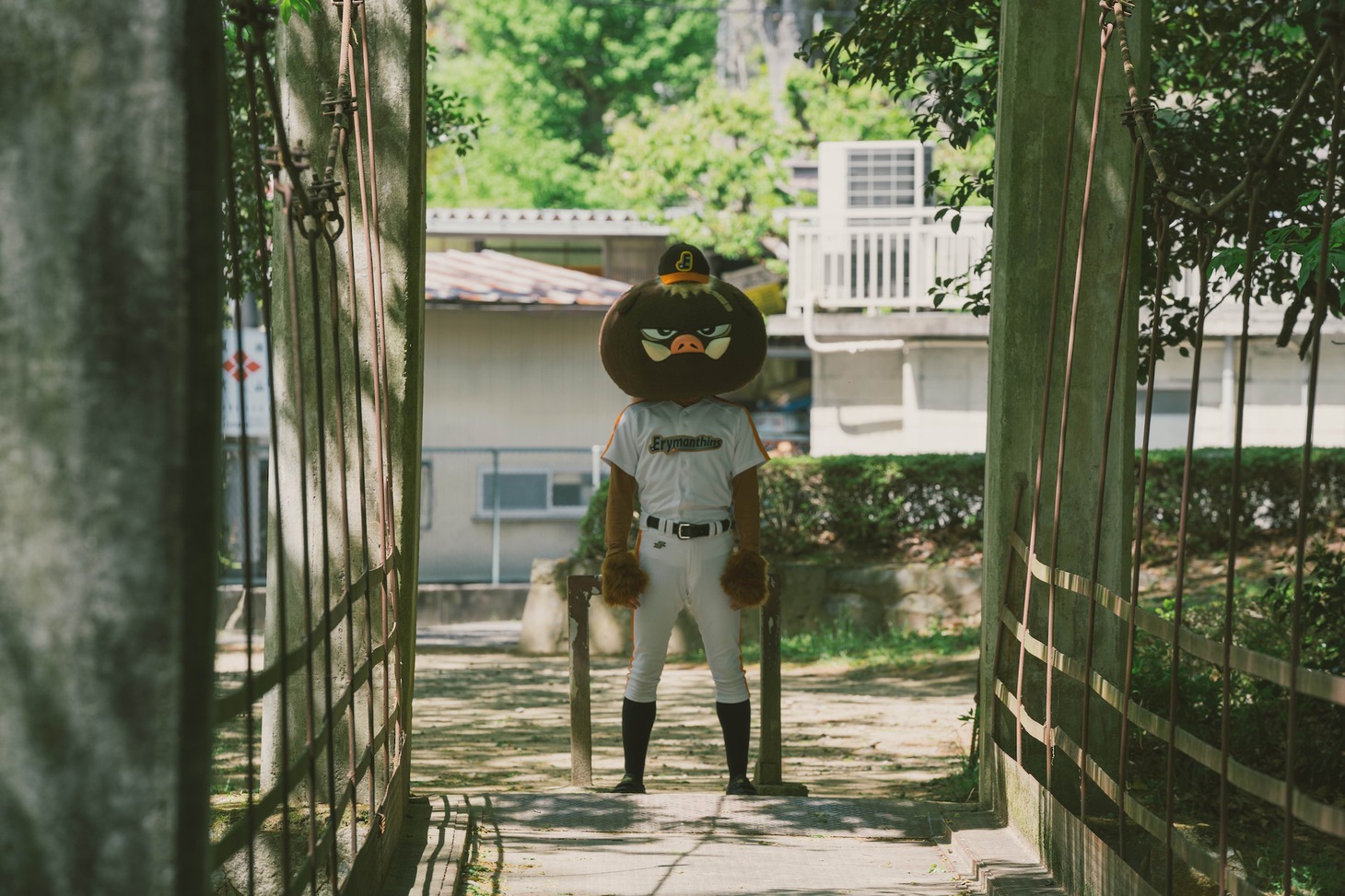 「さよならエリュマントス」新場面写真
