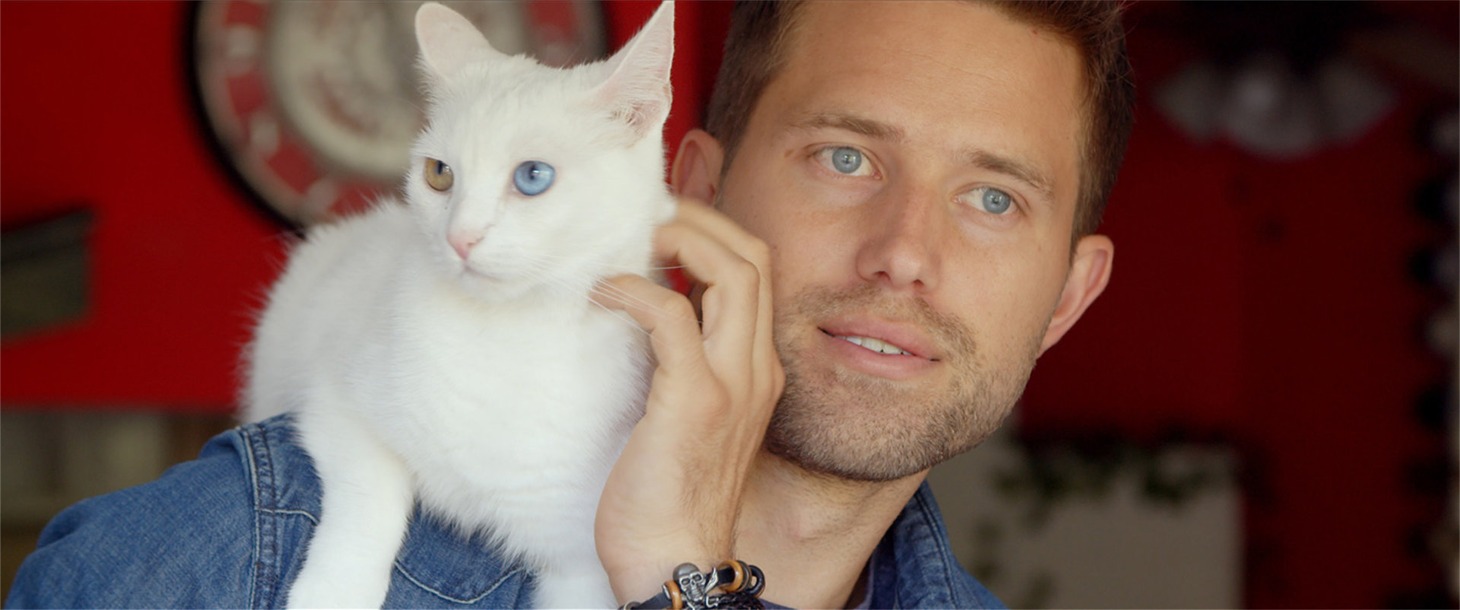 「猫と、とうさん」場面写真