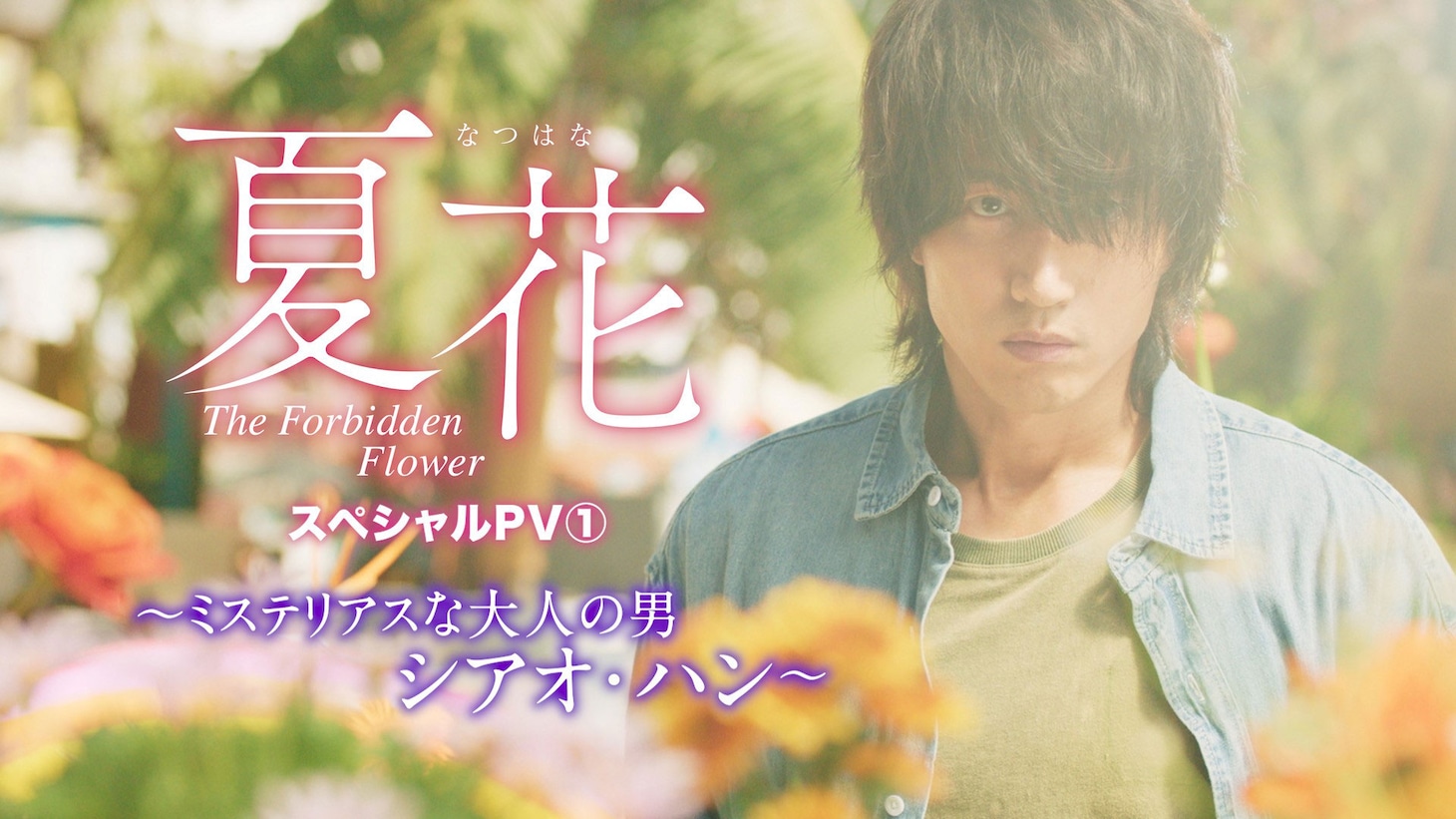 中国ドラマ「夏花」スペシャルPVのサムネイル。