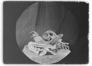 「骨」新場面写真 (c)Pista B & Diluvio, 2023