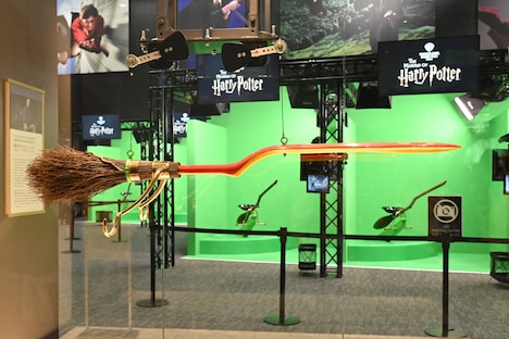 ブルーム エクスペリエンス