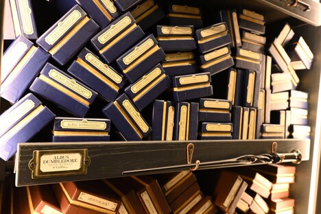 アルバス・ダンブルドアの杖。