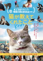 「猫が教えてくれたこと」ポスタービジュアル (c)2016 Nine Cats LLC