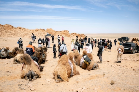 「VIVANT」メイキング写真