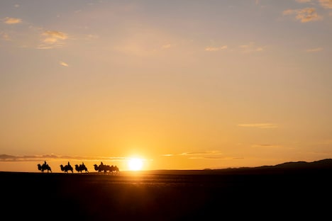 「VIVANT」メイキング写真