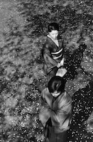 「エロス＋虐殺」場面写真 (c)現代映画社