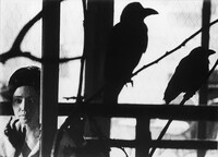 「炎と女」場面写真 (c)1967松竹株式会社