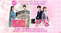「三番目の花婿～Choice Husband～」「ネコの手も借りたい恋」Twitter RT（リツイート）キャンペーンのビジュアル。