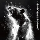 ハイになったクマさんが大暴れ!「コカイン・ベア」9月公開、特報とポスター解禁