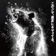 ハイになったクマさんが大暴れ!「コカイン・ベア」9月公開、特報とポスター解禁