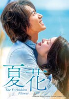 中国ドラマ「夏花」キービジュアル