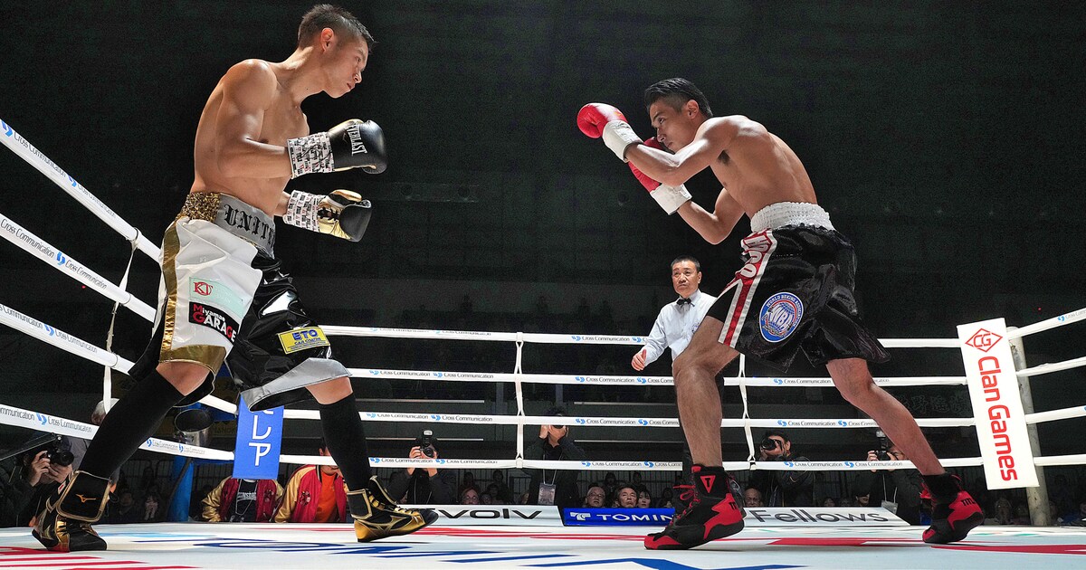 横浜流星と窪田正孝がリング上で対峙、ボクサー人生賭ける「春に散る  
