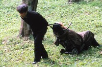 「カリスマ」場面写真 (c) 1999 日活・キングレコード・東京テアトル