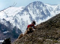 「越後奥三面 山に生かされた日々」場面写真