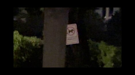 「劇場版 ほんとにあった！呪いのビデオ100」新場面写真