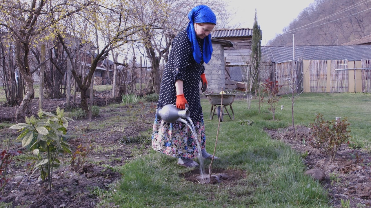 パンキシ渓谷で暮らす人々追ったドキュメンタリー「アダミアニ 祈りの谷」公開