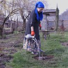 パンキシ渓谷で暮らす人々追ったドキュメンタリー「アダミアニ 祈りの谷」公開