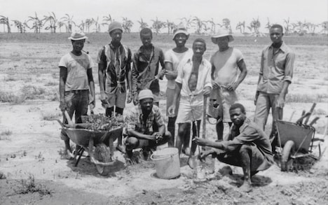 「交差する声」場面写真 提供：山形国際ドキュメンタリー映画祭