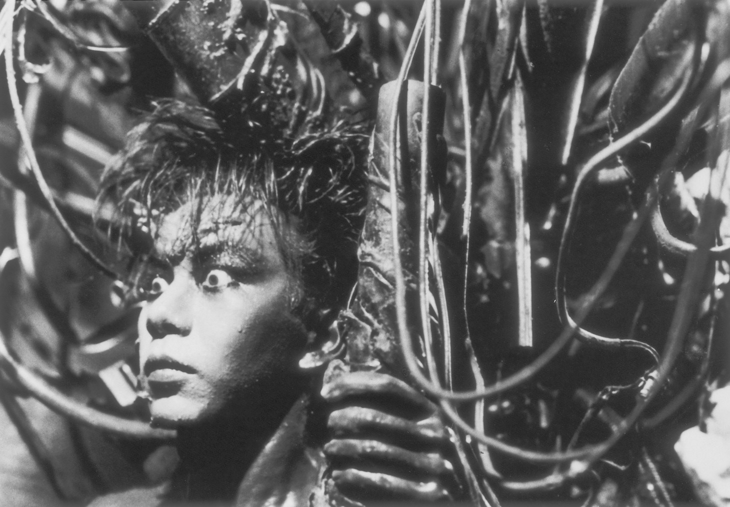 「鉄男」場面写真 (c)SHINYA TSUKAMOTO／KAIJYU THEATER