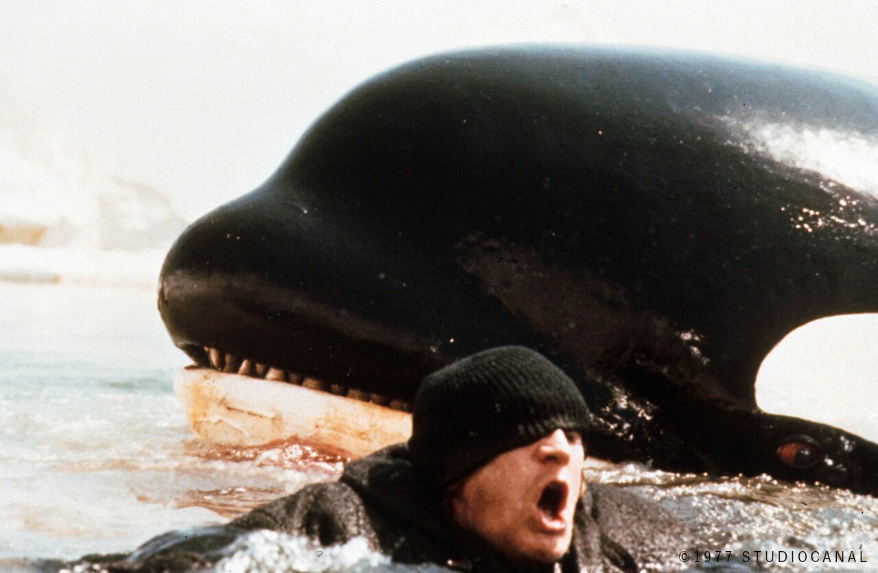 巨大シャチと漁師が壮絶な死闘繰り広げる「オルカ」WOWOWで放送