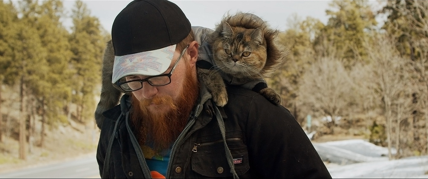 「猫と、とうさん」新場面写真