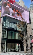 クロス新宿ビジョン